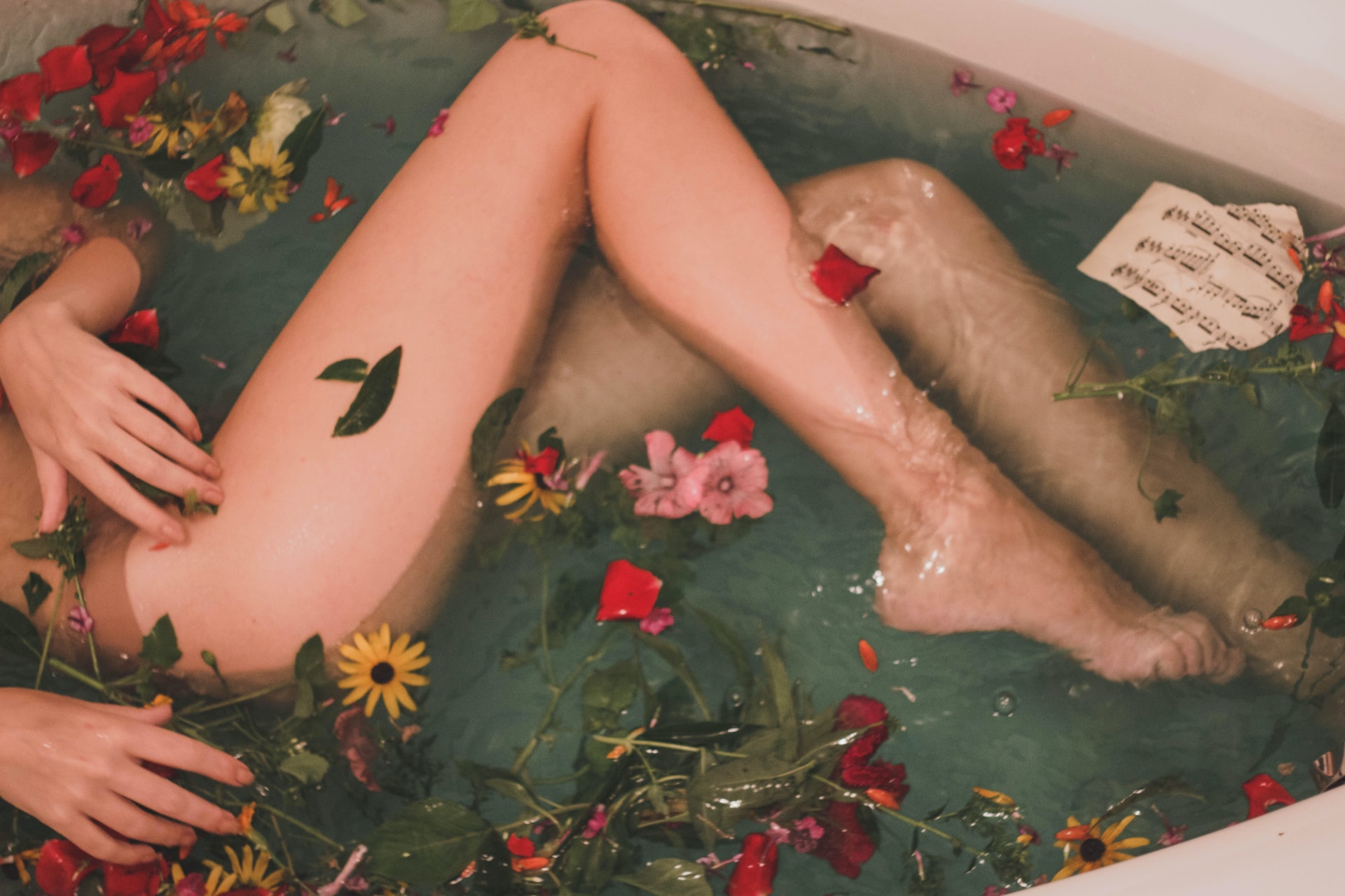 Sydney Escort Jobs for Students Sydney Escort Jobs for Students